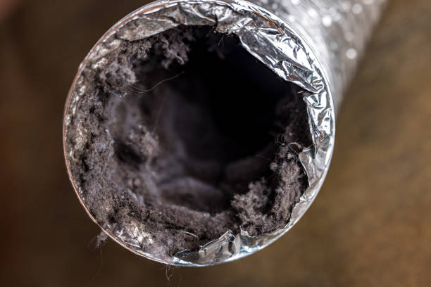 Best Ventilation Cleaning Services  in Ocoee, FL